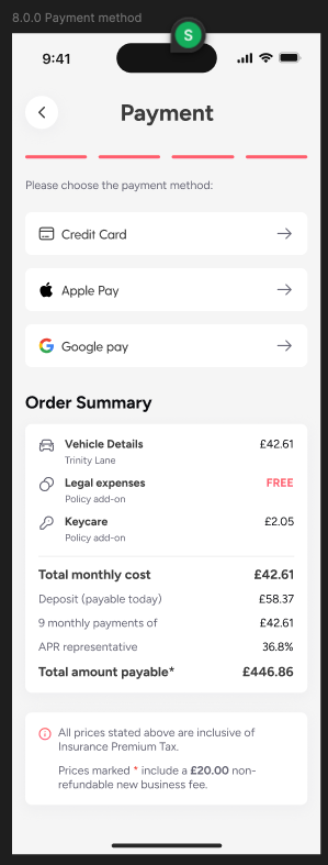 payment summary