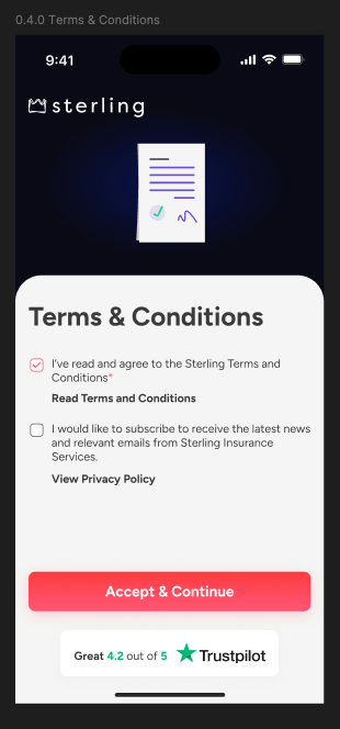 terms and conditions